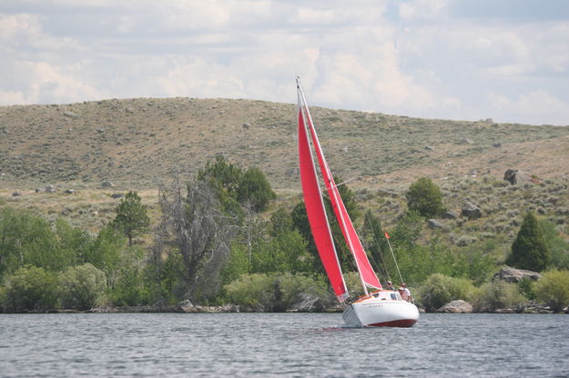 Sailing Regatta. Photo by Mindi Crabb.