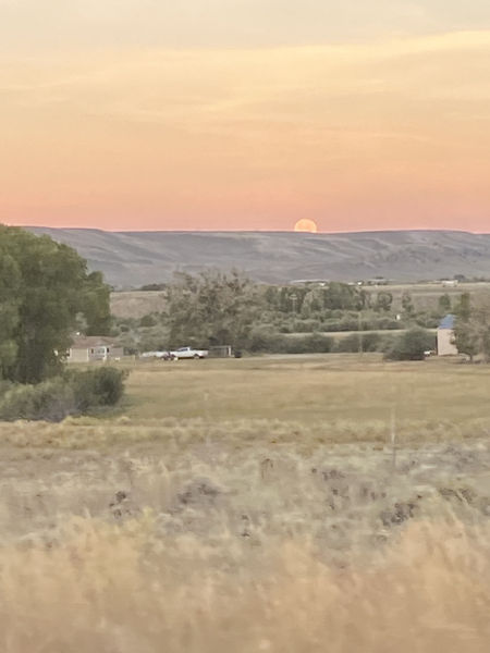 Setting moon. Photo by Renee Smythe.