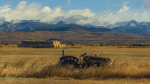 Old and New. Photo by Dave Bell.