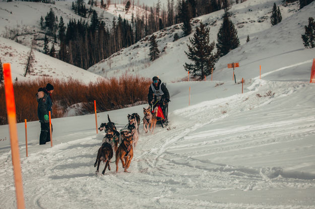 Big Piney - Marbleton course. Photo by Pedigree Sled Dog Race.