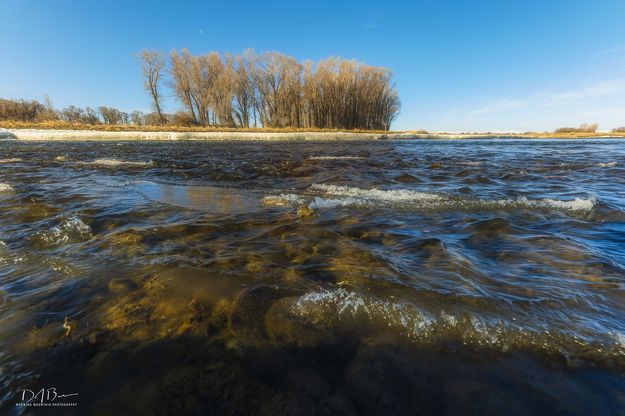 Still a bit icy. Photo by Dave Bell.