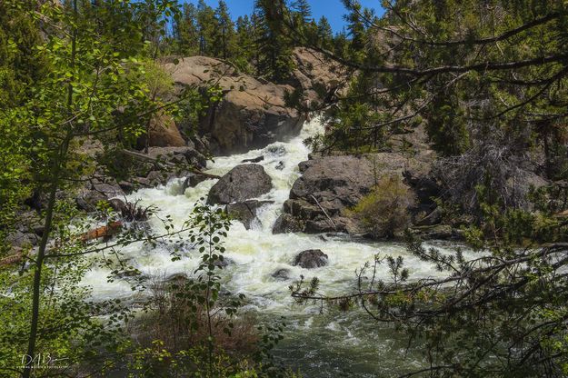 Boulder Creek Falls. Photo by Dave Bell.