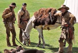 American Mountain Men. Photo by Pinedale Online.