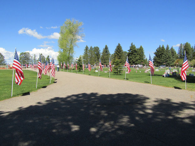 Row of Flags. Photo by Dawn Ballou, Pinedale Online.