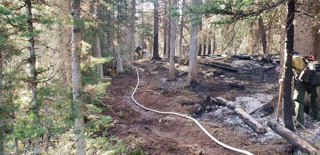 Handline. Photo by Bridger-Teton National Forest.