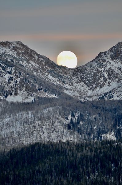 Moon Rise. Photo by Rob Tolley.