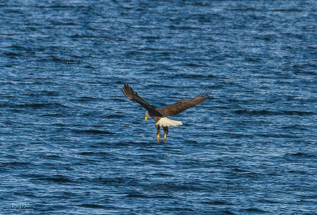 Empty handed. Photo by Dave Bell.