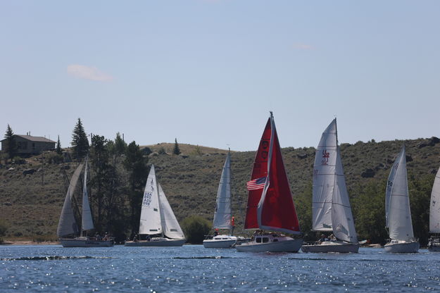 Sailboats. Photo by Mindi Crabb.