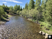 Pine Creek view downstream. Photo by Dawn Ballou, Pinedale Online.