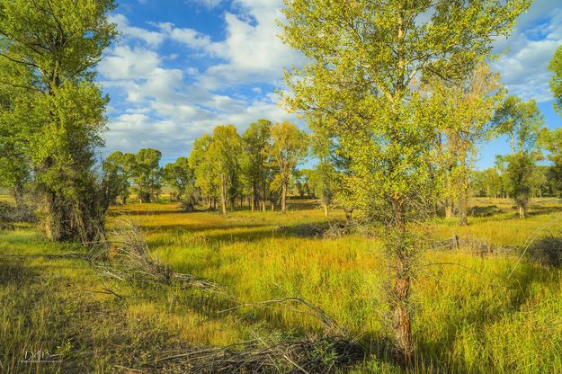 Fall Beauty. Photo by Dave Bell.