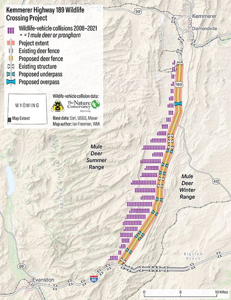 Wildlife Collisions 2023. Photo by Wyoming Departmnt of Transportation.