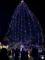 Tree lighting. Photo by Pinedale Online.