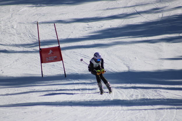 Ivy Ward. Photo by Julie Bell.