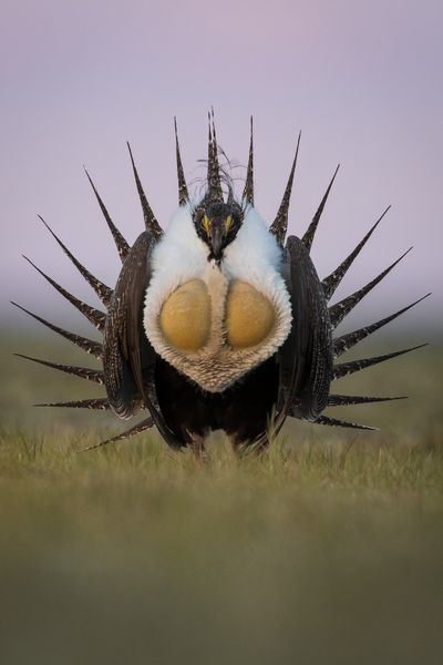 Display. Photo by Tony Vitolo.