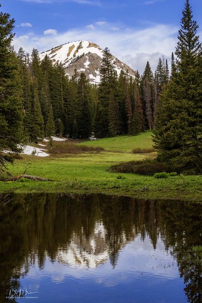 Reflecting Pond. Photo by Dave Bell.