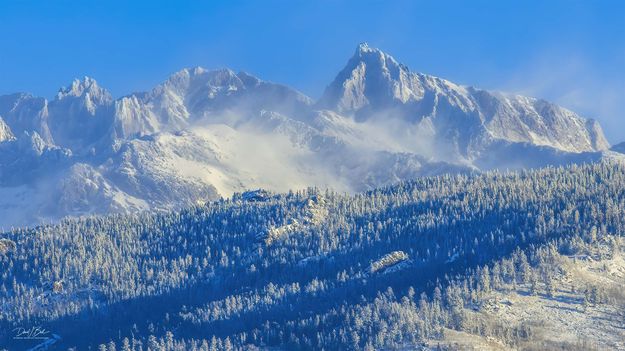 . Photo by Dave Bell.