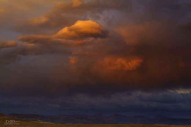 Storm Cloud Red. Photo by Dave Bell.