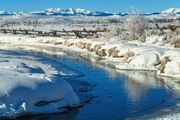 Frigid Forty Rod. Photo by Dave Bell.