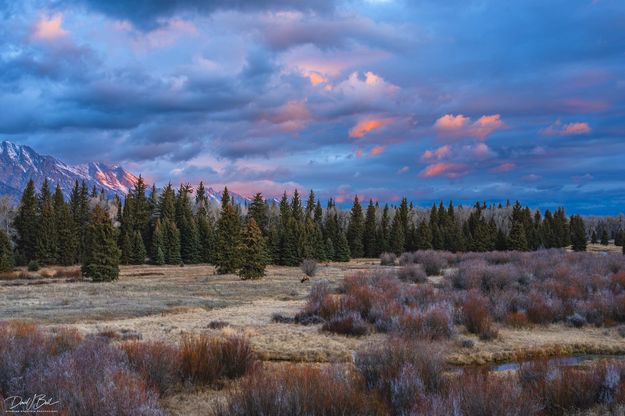 Blacktail Ponds Sunrise Elk. Photo by Dave Bell.