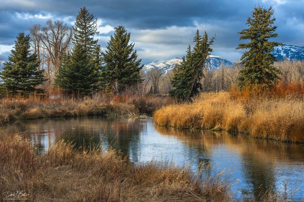 Blacktail Creek Scenery. Photo by Dave Bell.