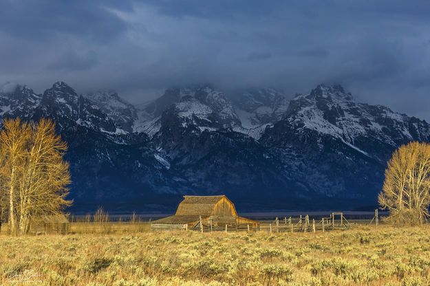 No Trickery. Photo by Dave Bell.