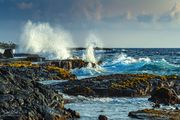 Lava Coast. Photo by Dave Bell.