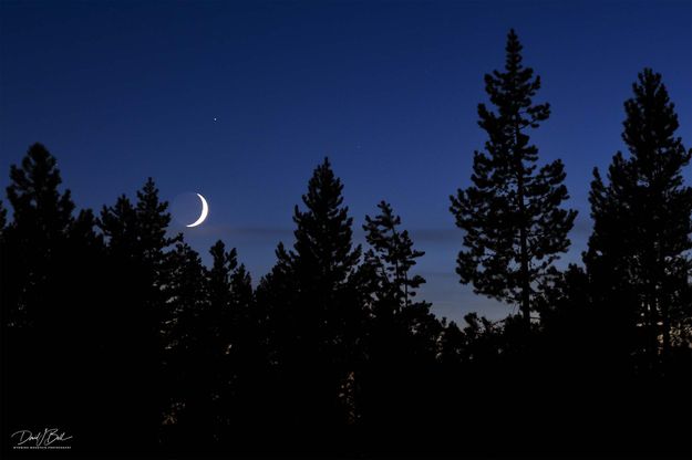 Setting Moon. Photo by Dave Bell.