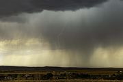 Pinedale Bolt. Photo by Dave Bell.