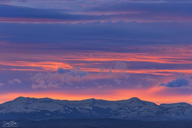 McDougall Color. Photo by Dave Bell.