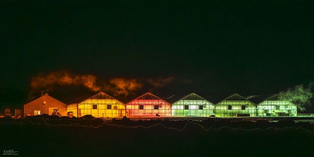 Greenhouse Color. Photo by Dave Bell.