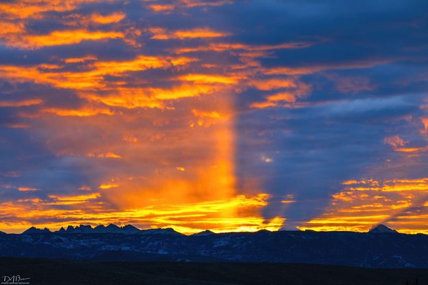 Sunrise Shadows-Feb 15. Photo by Dave Bell.