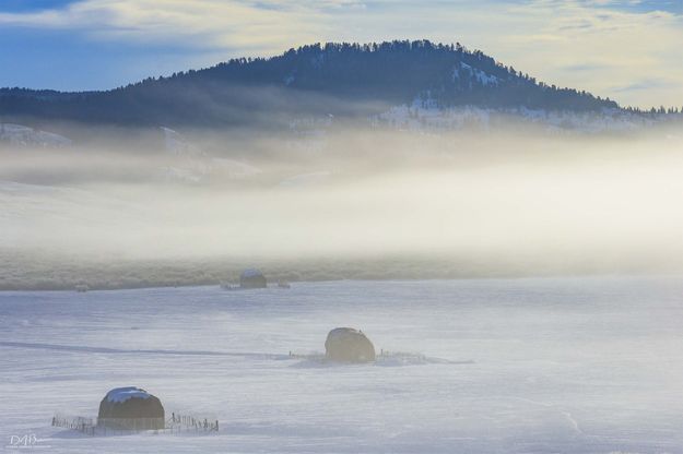 Foggy Stacks. Photo by Dave Bell.