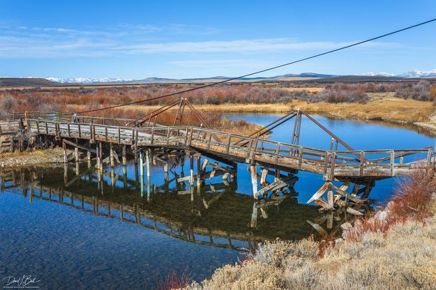 Barely Standing. Photo by Dave Bell.