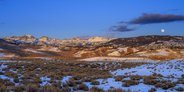 Micro Snow Moon Rise. Photo by Dave Bell.