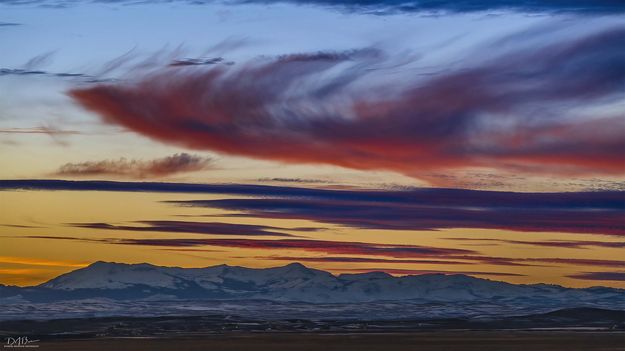 . Photo by Dave Bell.