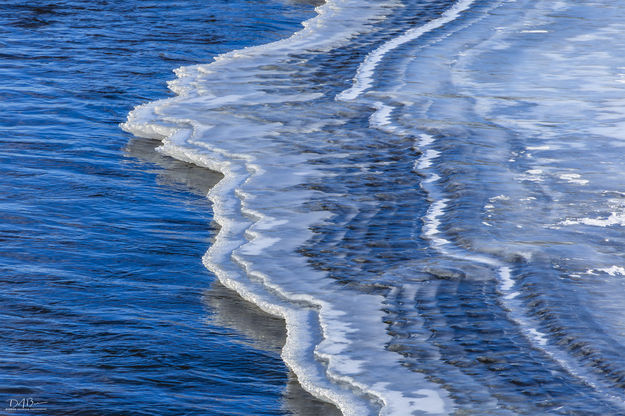 . Photo by Dave Bell.