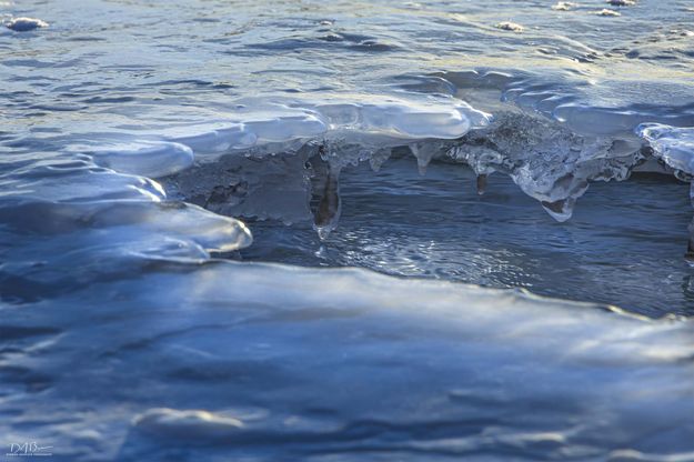 . Photo by Dave Bell.