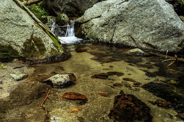 Beautiful Clear Water. Photo by Dave Bell.