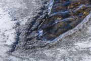 Open And Flowing On The Green. Photo by Dave Bell.