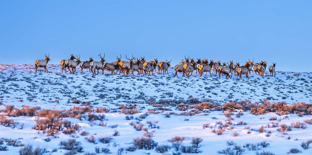 Moving As One. Photo by Dave Bell.