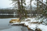 Sylvan Lake Winter Closing In. Photo by Dave Bell.