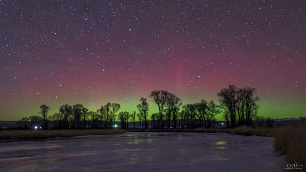 . Photo by Dave Bell.