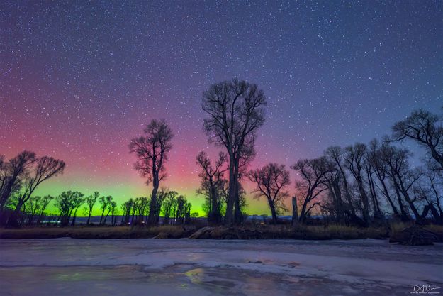 . Photo by Dave Bell.