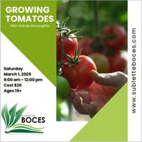 Growing Tomatoes class